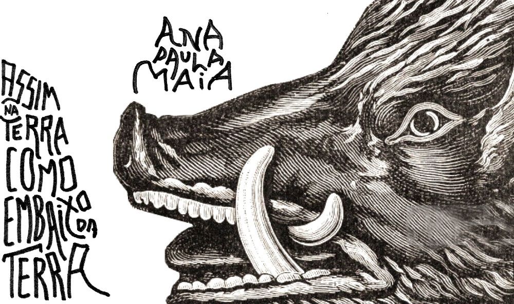 "Assim na terra como embaixo da terra", de Ana Paula Maia