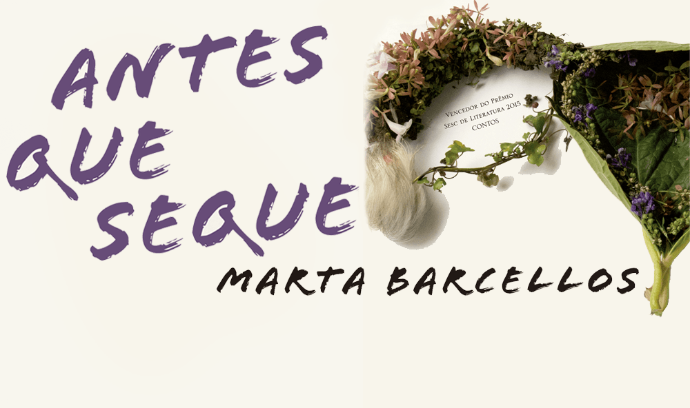 "Antes que seque", de Marta Barcellos