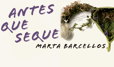 "Antes que seque", de Marta Barcellos