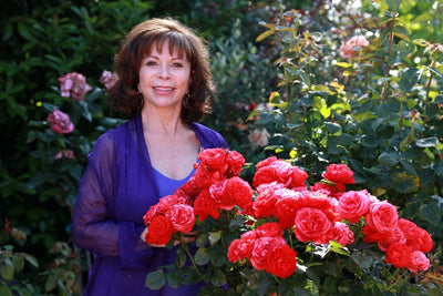 5 curiosidades sobre a aniversariante do dia: Isabel Allende
