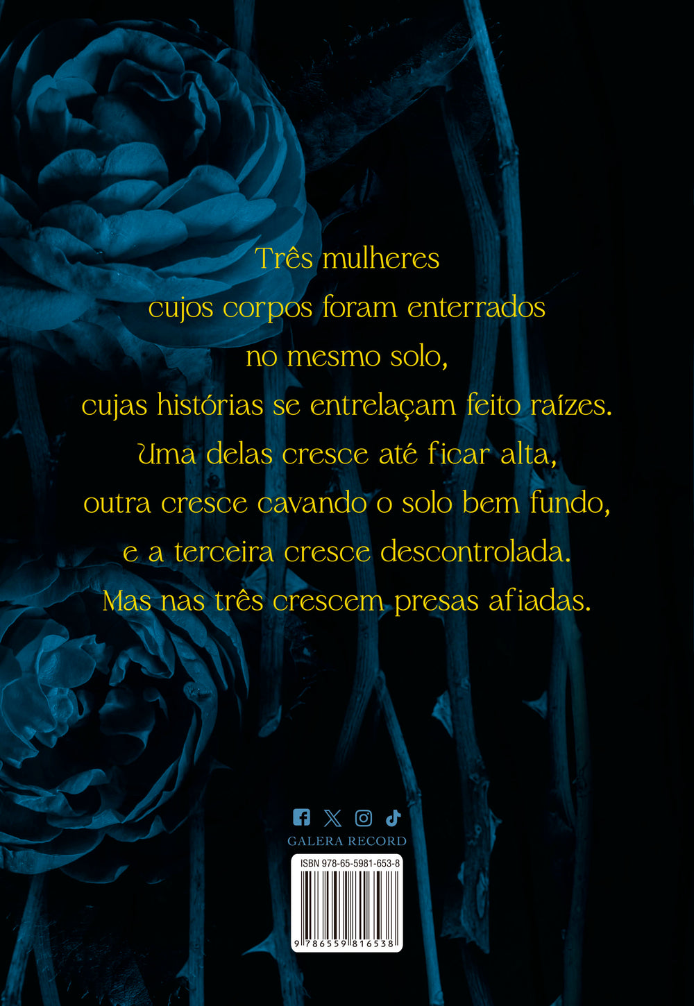 9786559816644_quartacapa.jpg