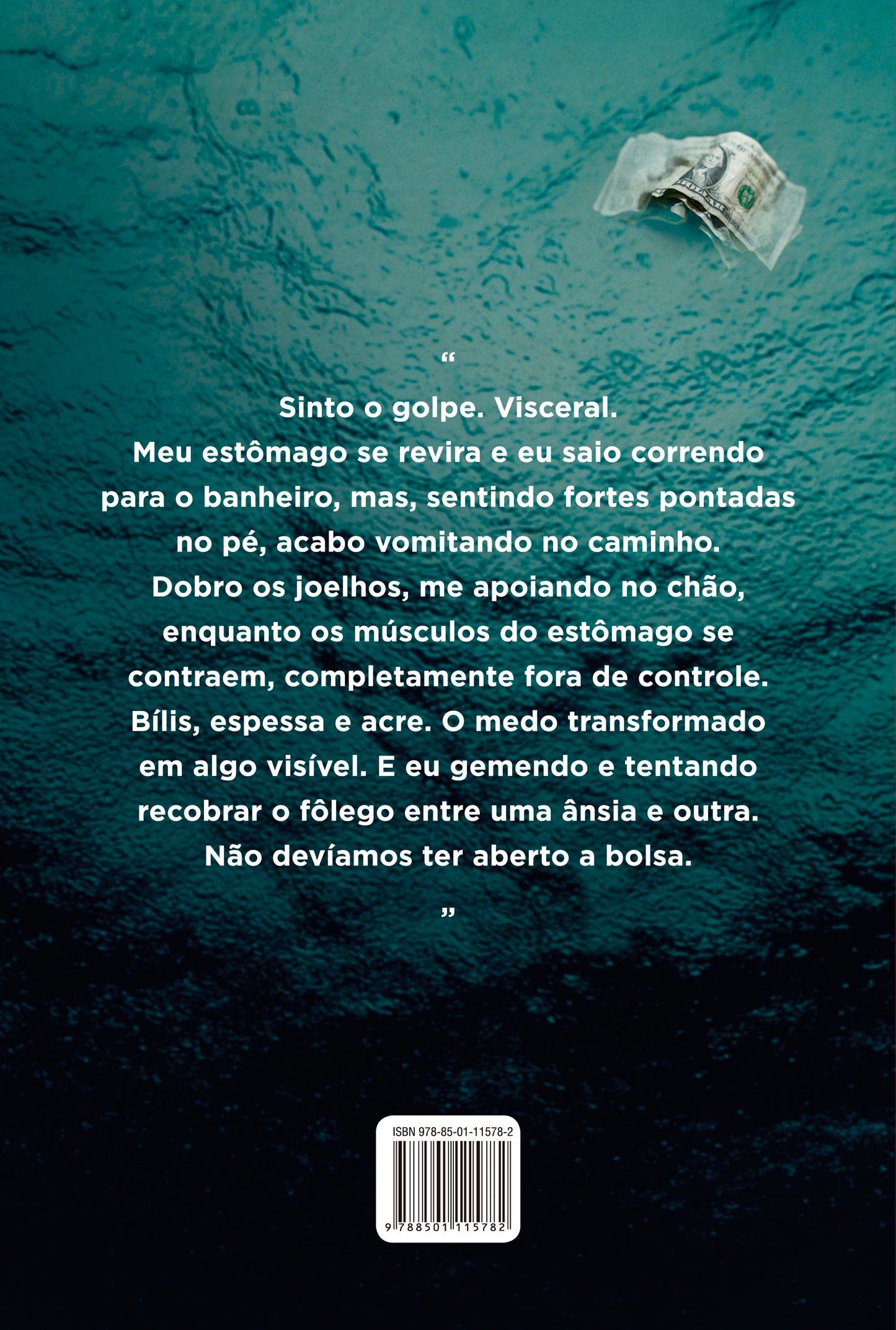 9788501115782_quartacapa.jpg