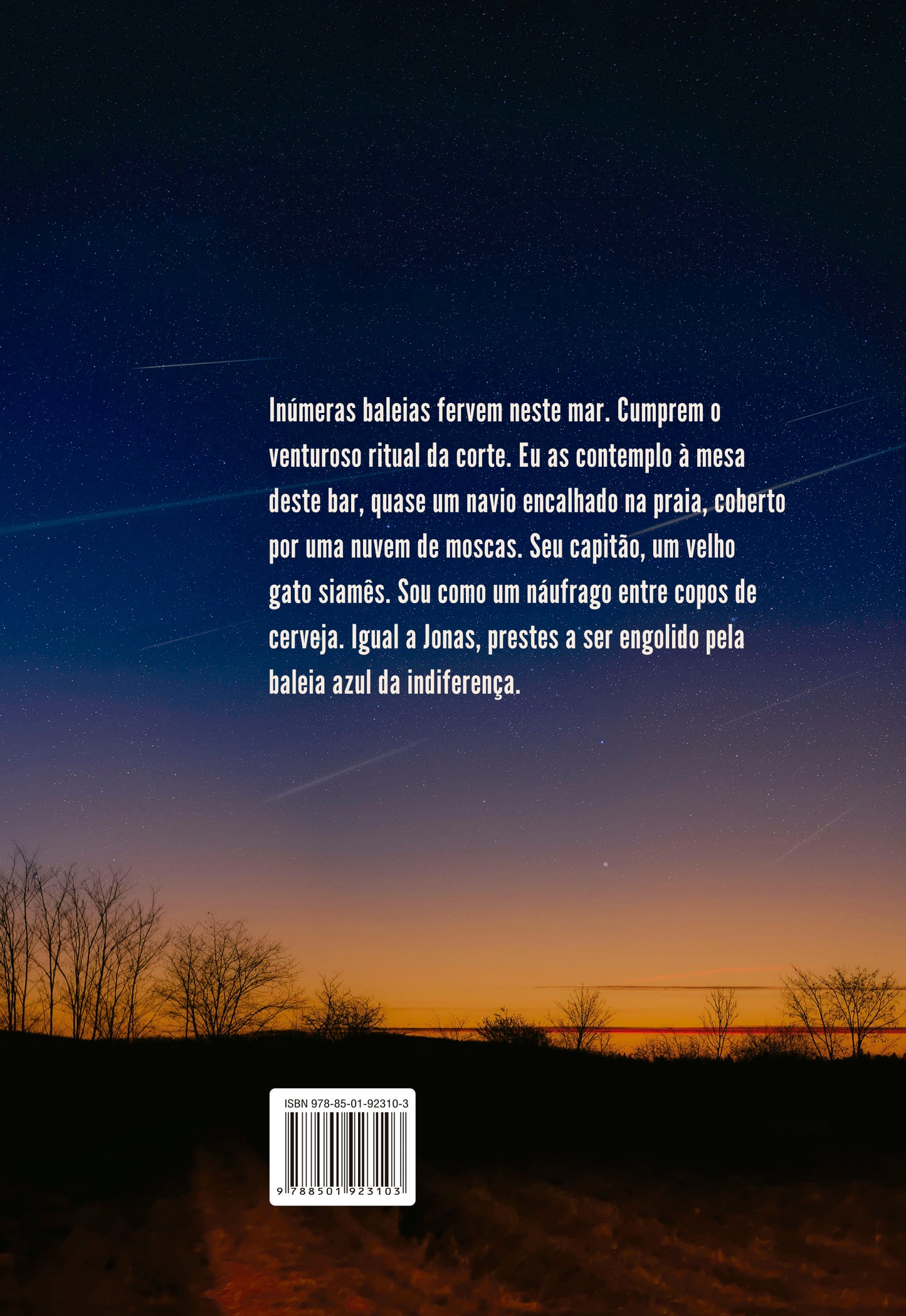 9788501923103_quartacapa.jpg