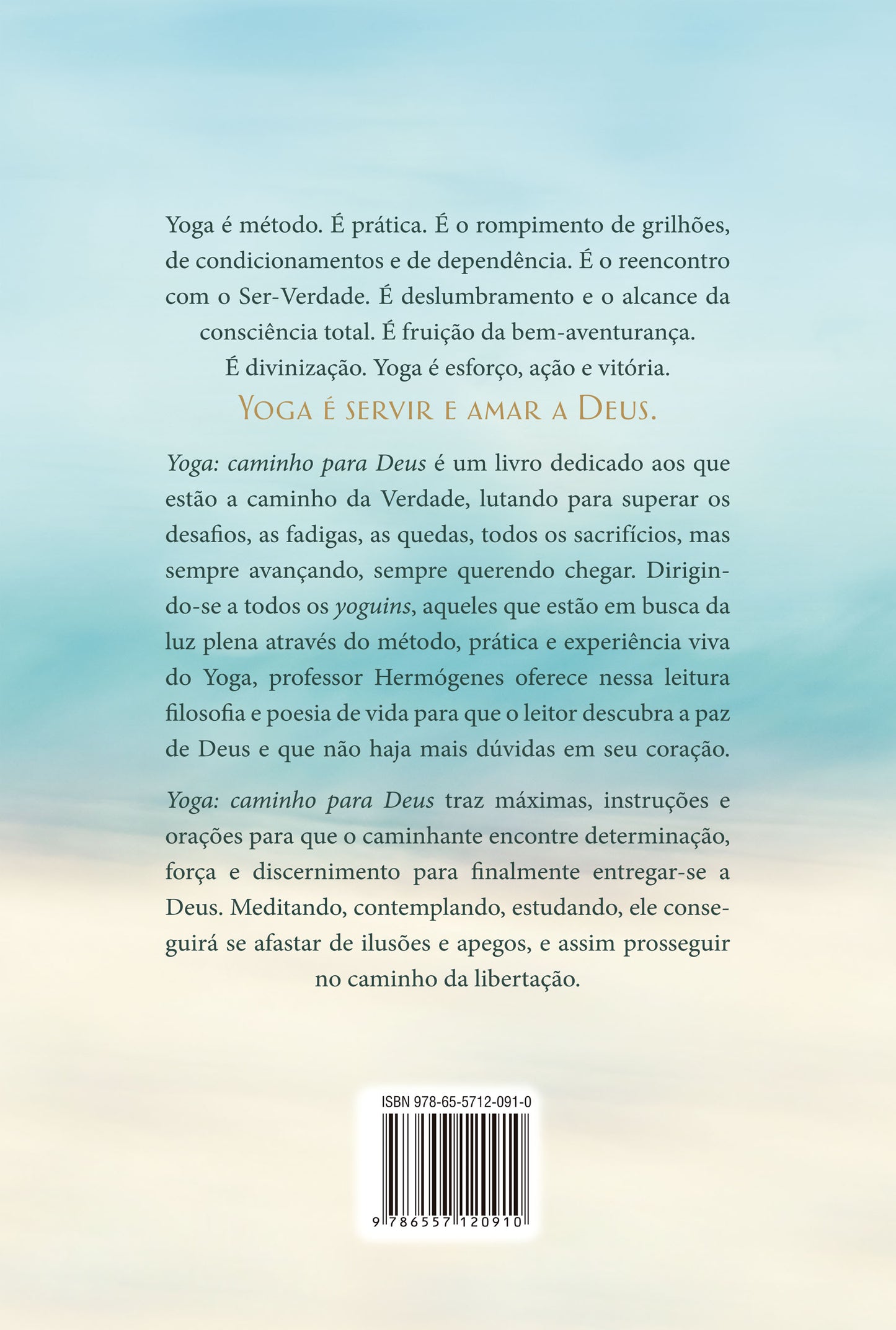 9786557120910_quartacapa.jpg