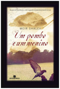 Um pombo e um menino