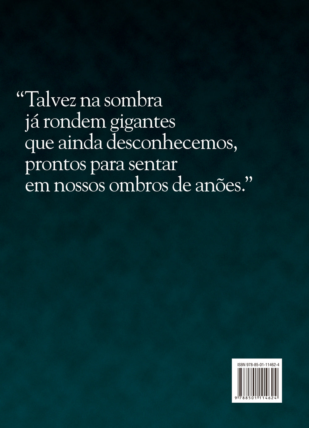 9788501114624_quartacapa.jpg