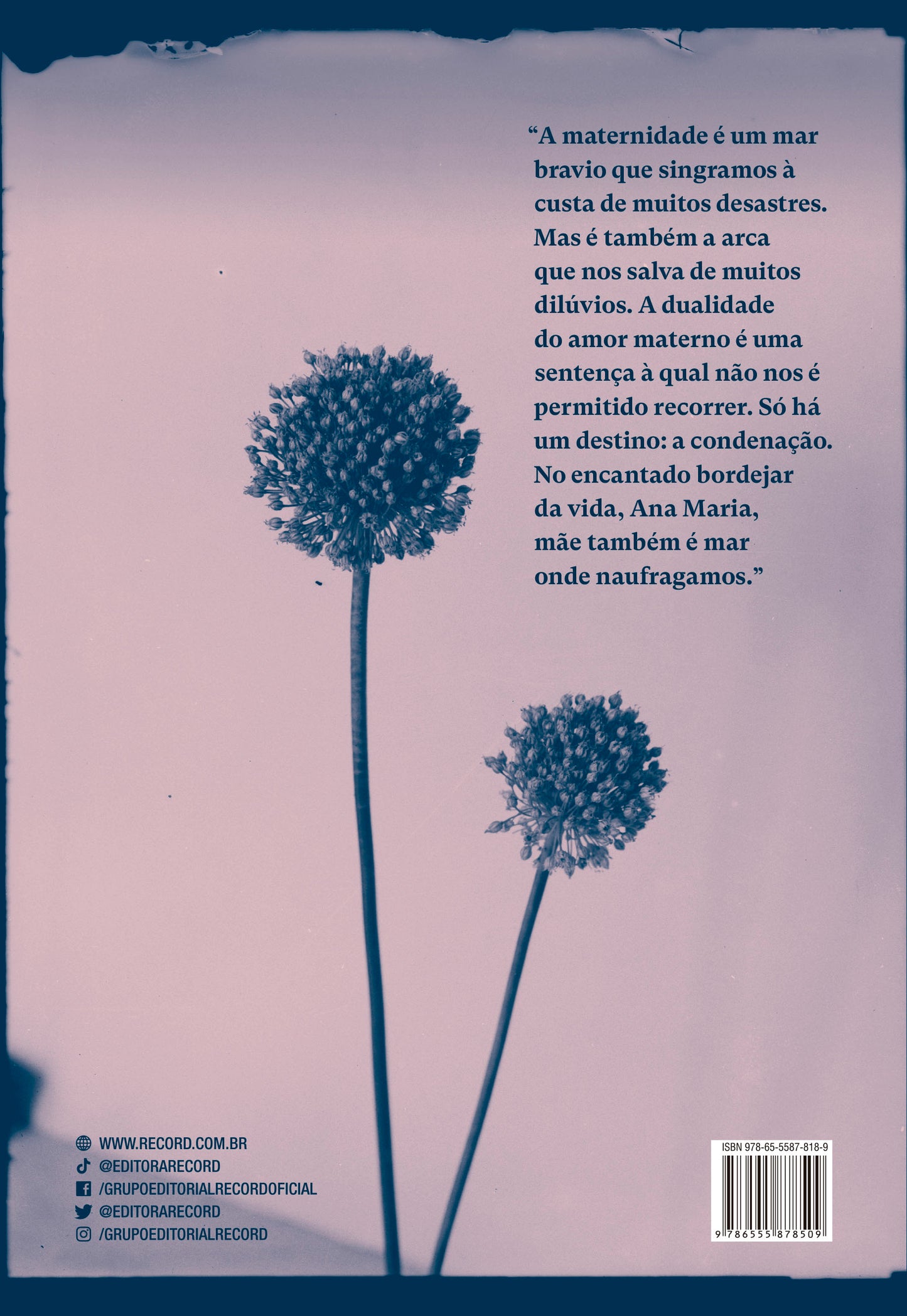 9786555878509_quartacapa.jpg