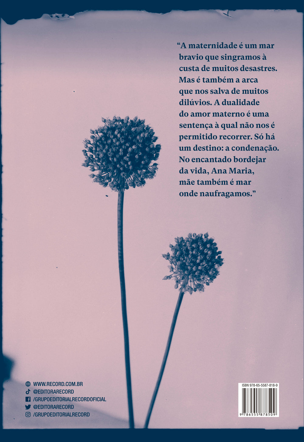 9786555878509_quartacapa.jpg