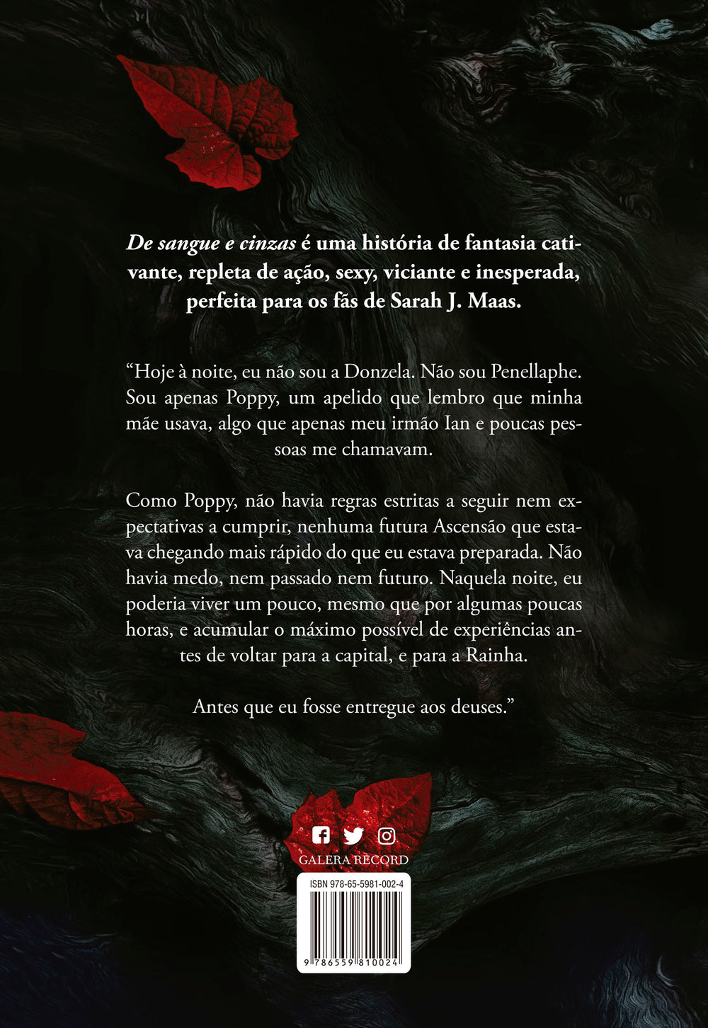 9786559810024_quartacapa.jpg