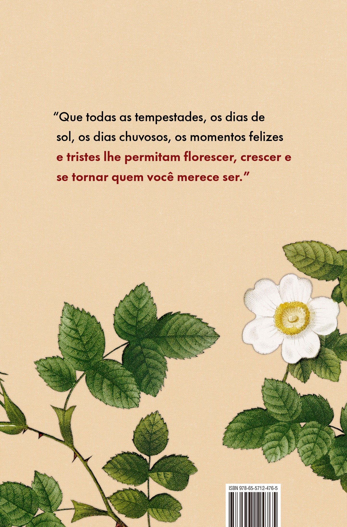 9786557124765_quartacapa.jpg