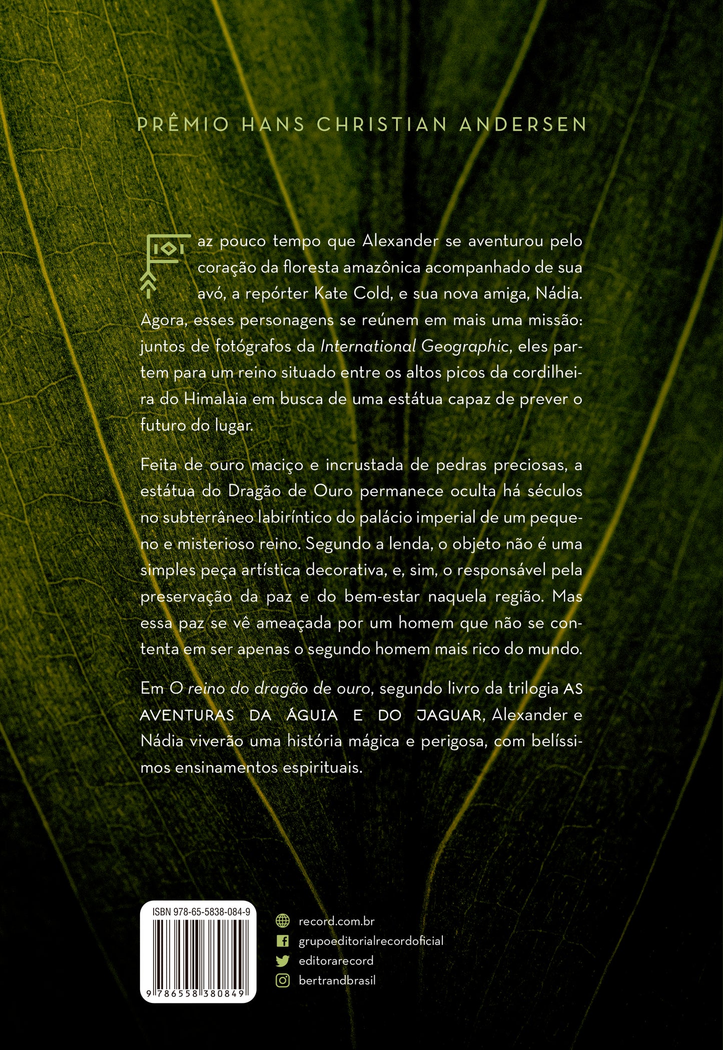 9786558380849_quartacapa.jpg