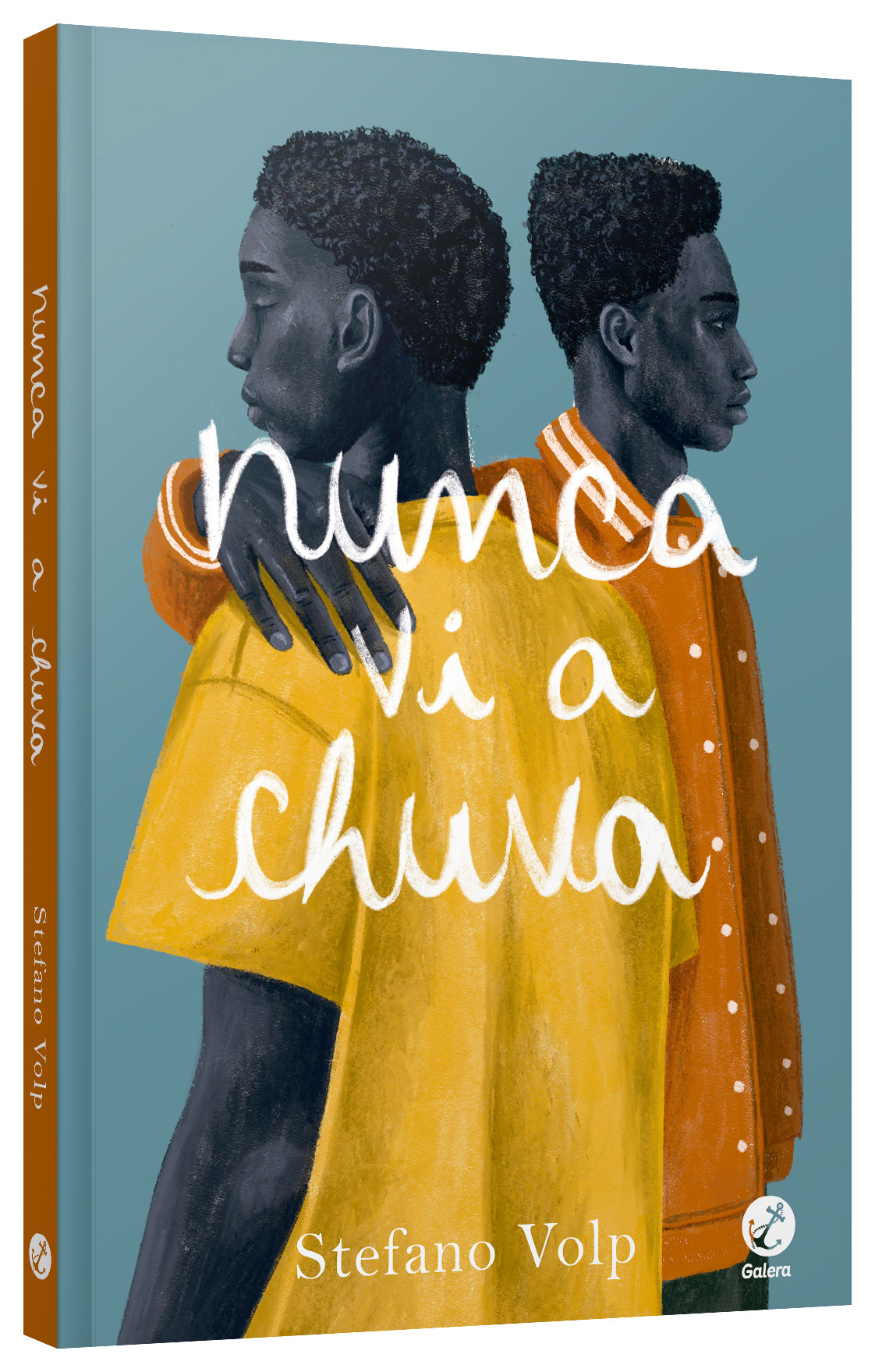 Nunca vi a chuva – Editora Record