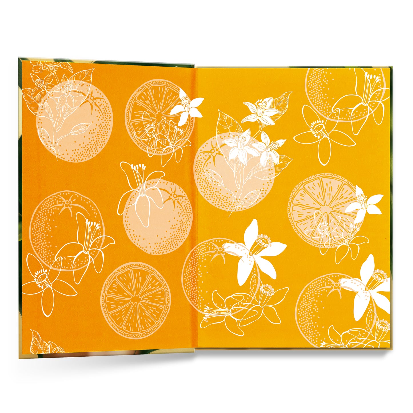 9786558381822_vi_01.jpg