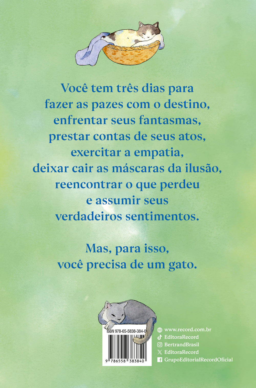 9786558383840_quartacapa.jpg